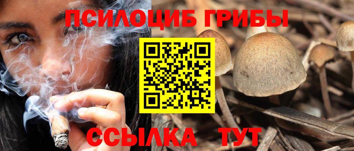 Семёнов  Cocaine  КОКАИН  Меф   МЕФ  Вход с VPN  ГАШИШ  ТГК 