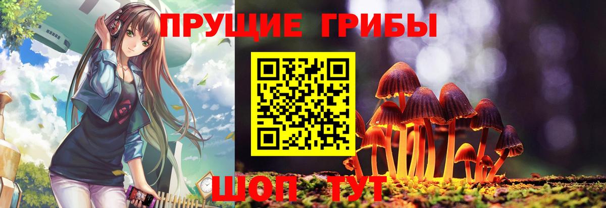 Галлюциногенные грибы мицелий Семёнов