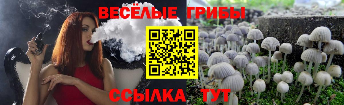 Псилоцибиновые грибы мухоморы  Вход с VPN  Семёнов  Галлюциногенные грибы ЛСД 